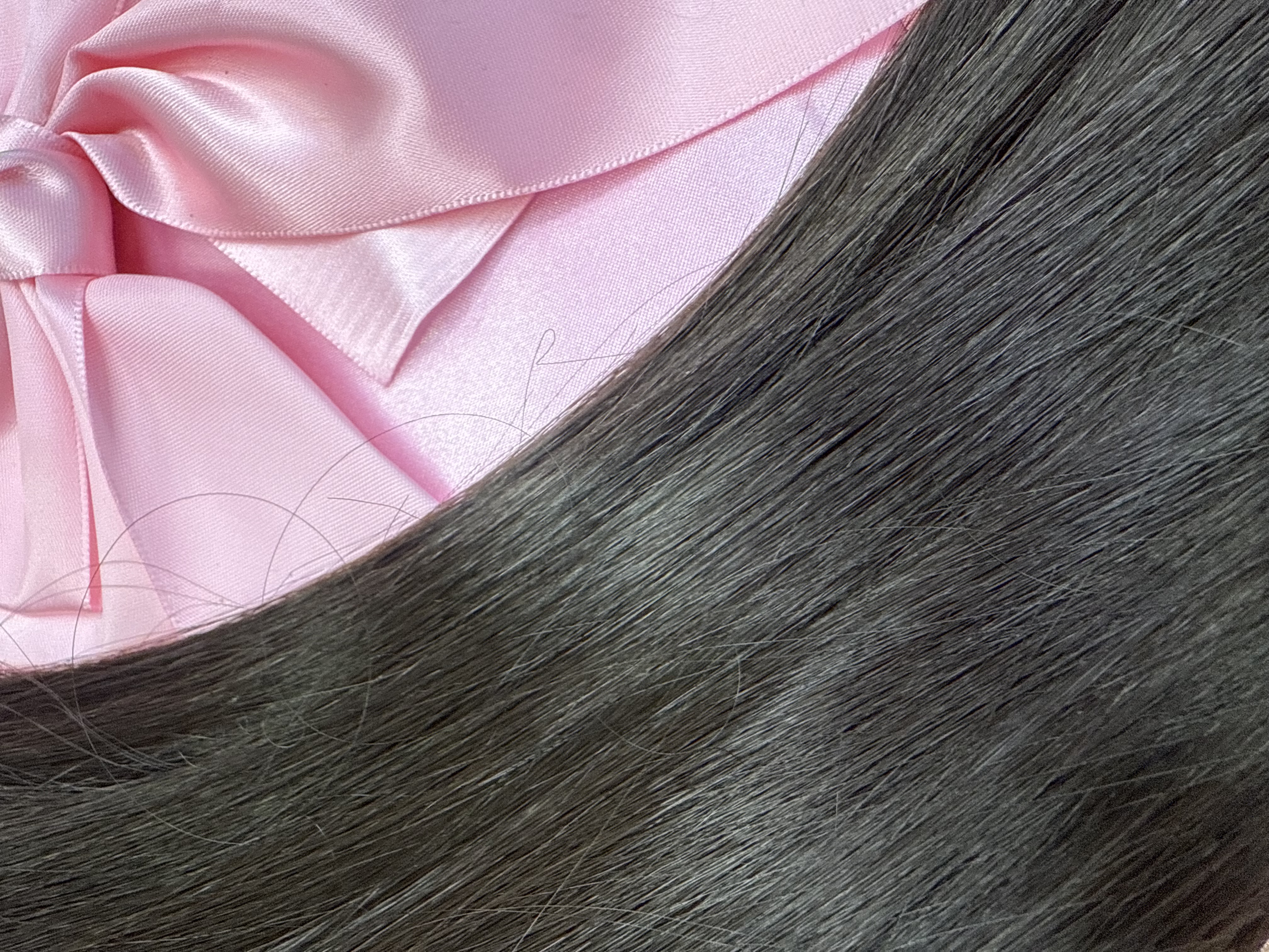 Kucyk Prosty Krótki Ciemny Brąz